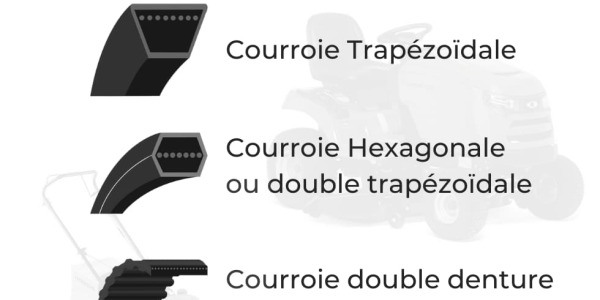 Tout sur les Courroies pour Tondeuse / Tracteur tondeuse autoportée