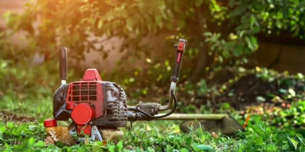 Entretien de printemps : comment bien se servir d’une débroussailleuse ?